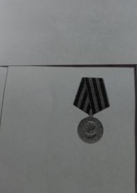 Медаль "За победу над Германией в Великой Отечественной войне  1941-1945 гг."