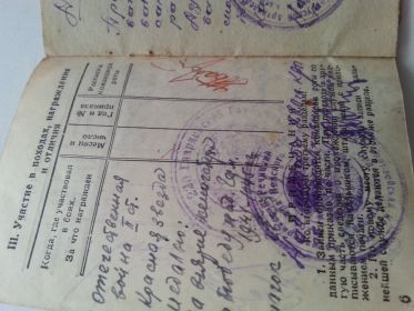 Награды за боевые заслуги: орден - Отечественная война II степени; орден - Красная звезда; медаль «За взятие Кенигсберга»; медаль «За победу над Германией».