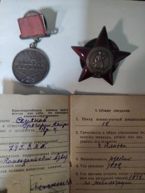 Орден Красной Звезды; Медаль «За боевые заслуги»