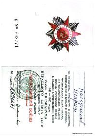 Орден Отечественной войны 2 степени.