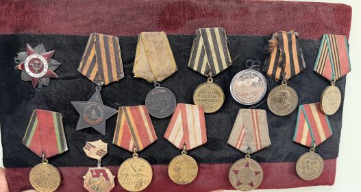 Медаль «За боевые заслуги» (2) , Орден Славы III степени, медаль за взятие Кенигсберга