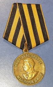 Медаль за победу над Германией