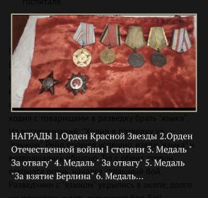 Орден войны3степени, медаль за отвагу,медаль за взятие Берлина, медаль за победу над Германией и две юбилейные награды