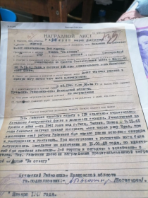 орден Славы,орден Отечества,юбилейные медали.