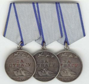 Medal za otvagu