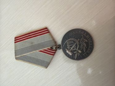 «Ветеран труда»