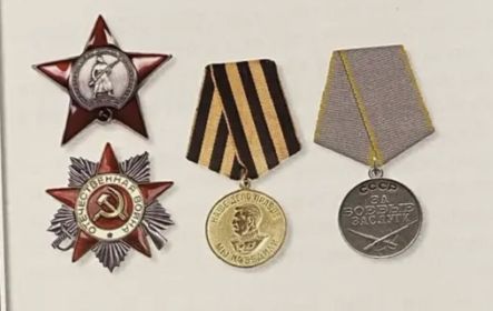 орден Красной Звезды, орден Отечественной войны II степени, медаль «За победу над Германией в Великой Отечественной войне 1941-1945 гг.», медаль «За боевые заслуги».