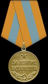 За взятие Будапешта