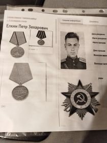 Медаль "За боевые заслуги", медаль "За отвагу", медаль " За победу над Германией в Великой Отечественной войне 1941-1945гг", орден Отечественной войны войны II степени"