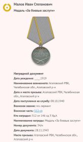 Медаль «За боевые заслуги»