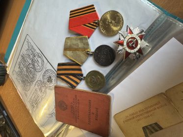 Орден «Отечества войны» 2 степени, медаль «За боевые заслуги», медаль «Жукова», медаль « За победу над Германией»