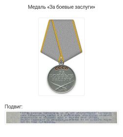 Медаль "За боевые заслуги"