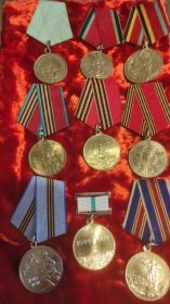 За оборону Ленинграда, за победу над Германией и др.