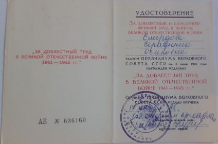 Медаль «Медаль материнства» II степени