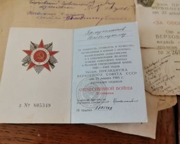 Орден отечества 2й степени