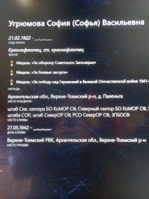 Медаль За оборону Советского Заполярья
