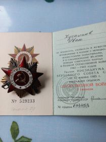Орден "Отечественной войны 1 ст"