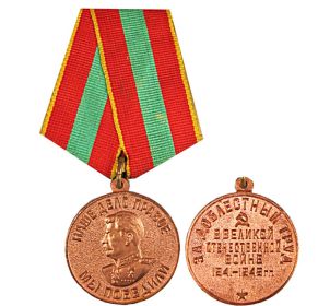 За самоотверженный труд "За победу над Германией в ВОВ 1941-1945гг"