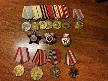 медаль «За боевые заслуги», орден Красной Звезды,  медаль «За оборону Сталинграда», орден Отечественной войны II ст., медаль «За взятие Берлина», Медаль за освобождение Варшавы