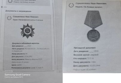 Орден Отечественной войны 2-ой степени, Медаль за боевые заслуги.