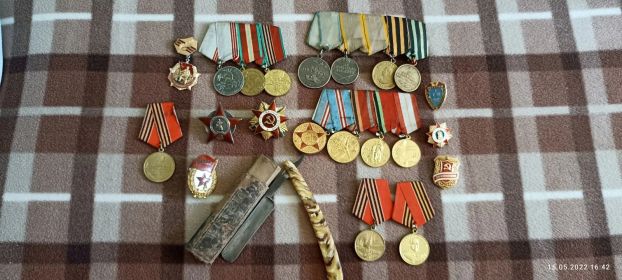 Орден красной звёзды, Орден Отечественной войны 1 степени,  медаль за отвагу, медаль за боевые заслуги, медаль за взятие Кенигсберга и т д