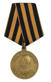 Медаль "За победу над Германией в Великой Отечественной войне 1941-1945 гг."