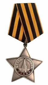 Орден Славы III степени