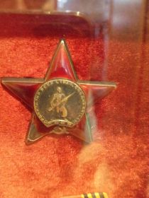Орден Красной звёзды, медаль За боевые заслуги, медаль За освобождение Праги, орден Отечественной войны