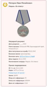 Медаль за отвагу