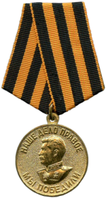 Медаль «За победу над Германией в Великой Отечественной войне 1941—1945 гг.