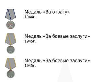 Медаль «За отвагу», Медаль «За боевые заслуги», Медаль «За боевые заслуги»