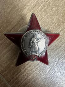 Орден Красной Звезды, медали  "За победу над Германией", "За доблестный труд во время войны", "25 лет Победы в войне 1941-1945г"