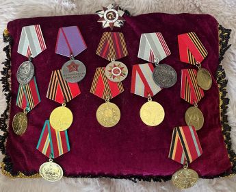 Орден Отечественной войны, орден Красной звезды, две медали “За Отвагу".