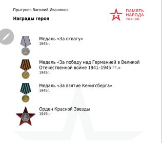 Медаль «За отвагу» (2); Орден Красной Звезды (2); Медаль «За победу над Германией в Великой Отечественной войне 1941–1945 гг.»; Медаль «За взятие Кенигсберга»