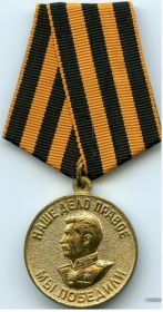Медаль «За победу над Германией в Великой Отечественной войне 1941–1945 гг.»