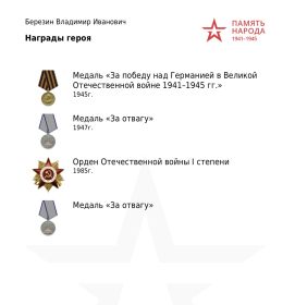 Медаль за победу над Германией в Великой Отечественной войне,  медаль за Отвагу, Орден Отечественной войны 1 степени, медаль за Отвагу