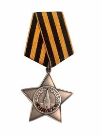 Орден Славы 3 степени