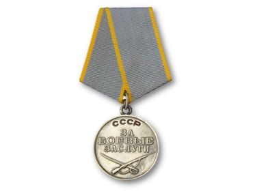 Медаль  За боевые заслуги