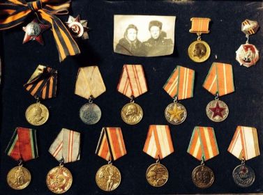 Орден Отечественной войны II степени, орден Красной звезды и 12 медалей