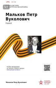 Орден Отечественной Войны 2 степени,  2 шт. , медаль За Отвагу и другие медали