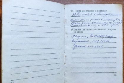 Медаль «За победу над Германией»