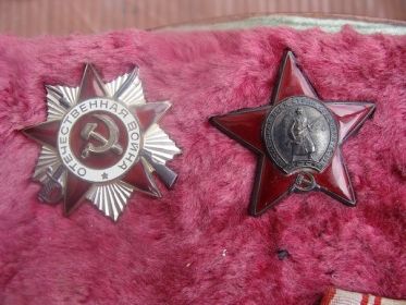 орден Красной Звезды, орден Отечественной войны двух степеней, медаль За Боевые Заслуги, медаль За победу над Германией
