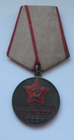 медаль «За  доблестный труд в годы Великой Отечественной войны 1941-1945г»