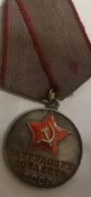 Задрудовую доблесть