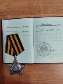 Орден Славы III степени