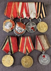 Орден Ленина, Медаль «За победу над Германией в Великой Отечественной войне 1941-1945 гг.» , Орден Красного Знамени