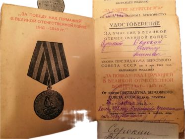 Медаль за победу над Германией в ВОВ