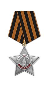 Орден Славы 3 степени