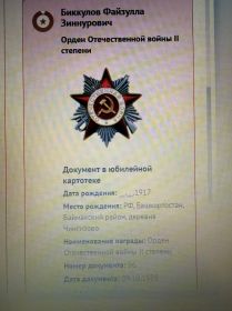 Орден Отечественной войны II cтепени