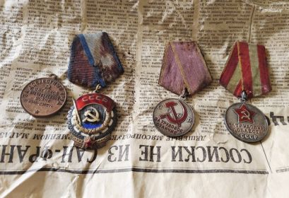 «За доблестный труд в Великой Отечественной войне 1941-1945гг.»  «За трудовую доблесть»  «За трудовое отличие»  «Орден трудового красного знамени»